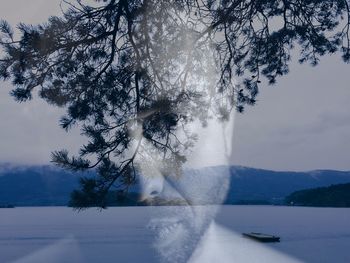 Multiple exposure of mature man and tree with lake and mountains in background
