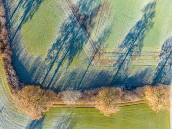 High angle view of agricultural field