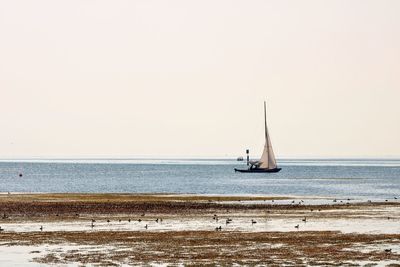 Sailboat on sea against clear sky