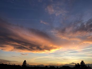 Low angle view of silhouette trees against sky during sunset