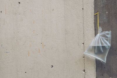 Close-up of water in plastic bag hanging on wall