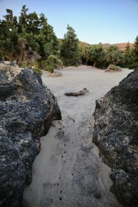 Close-up of rocks on landscape against clear sky