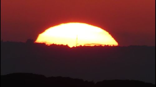 Scenic view of silhouette plants against sky at sunset