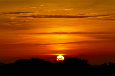 Silhouette trees against romantic sky at sunset