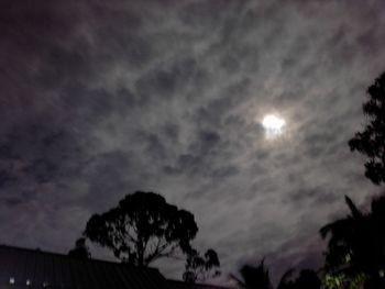 Low angle view of silhouette trees against sky at night