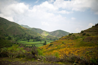 Scenic view of landscape against sky