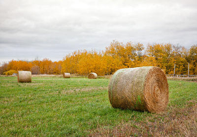 Hay bales on field against sky