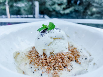 Close-up of ice cream in plate