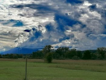 Scenic view of field against sky