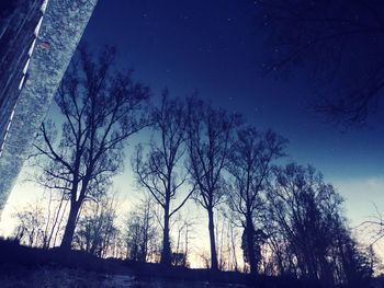 Low angle view of silhouette trees against sky