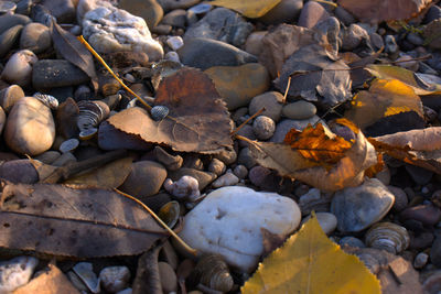 Pebbles on rocks