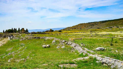 Scenic view of ancient building in the eild