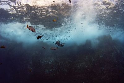 Scuba diver swimming in sea