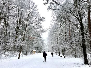 Rear view of people on snow covered landscape