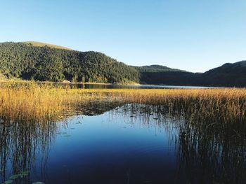 Scenic view of lake against clear sky