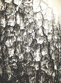 Low angle view of tree against sky