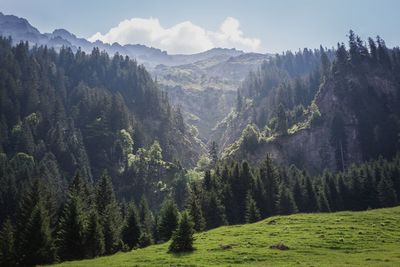 Scenic view of trees and mountains against sky