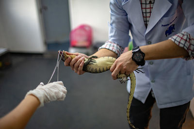 Cropped hand of doctor examining lizard held by man in hospital