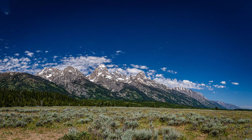 Scenic view of landscape against blue sky