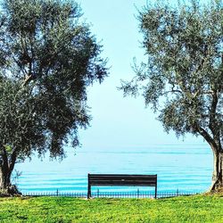 Empty bench in park against blue sky