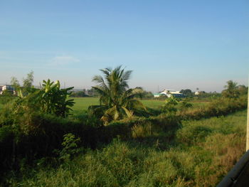 Scenic view of farm against sky