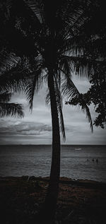 Silhouette palm trees on beach against sky