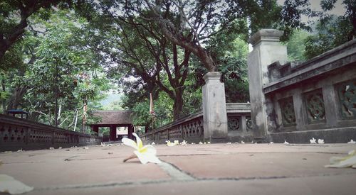 Built structure with trees in background