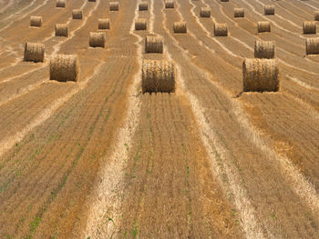 High angle view of hay bales on field