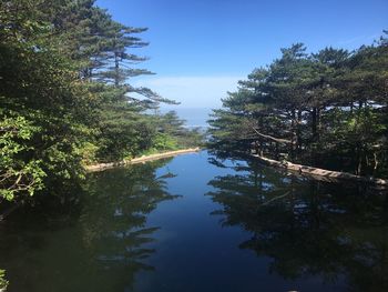 Reflection of trees in lake against sky