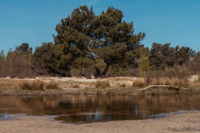 Scenic view of lake against clear sky