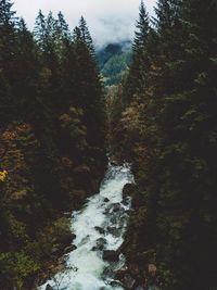 Scenic view of waterfall in forest against sky