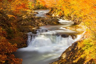 Scenic view of small waterfall in forest during autumn