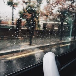 transportation