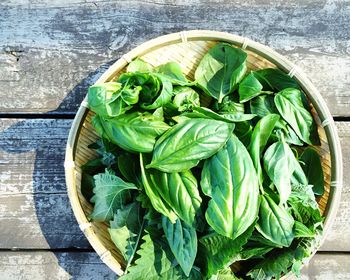 Basil and mint leaves in basket