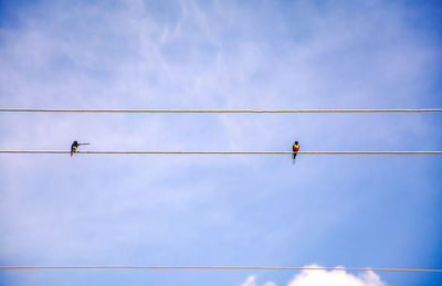 Low angle view of bird perching on cable against sky