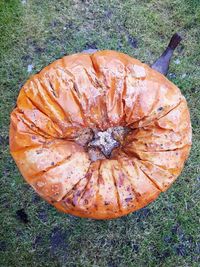 Close-up of pumpkin