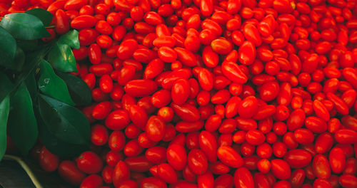 Full frame shot of tomatoes for sale at market stall