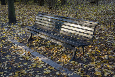 High angle view of bench in park during autumn
