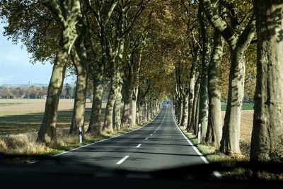 Empty road amidst trees seen through car windshield