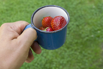 Midsection of person holding fruits in bowl