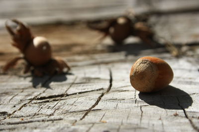 Close-up of hazelnut on wooden plank