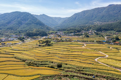 Scenic view of agricultural field against mountain