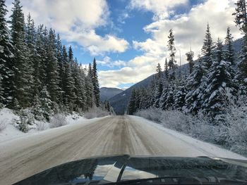 Road amidst trees against sky during winter