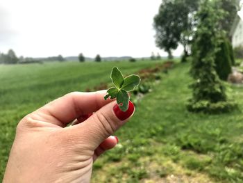 Cropped hand holding four-leaf clover on field