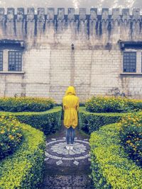 Rear view of woman walking on yellow flowers