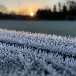 Close-up of snow covered land during sunset