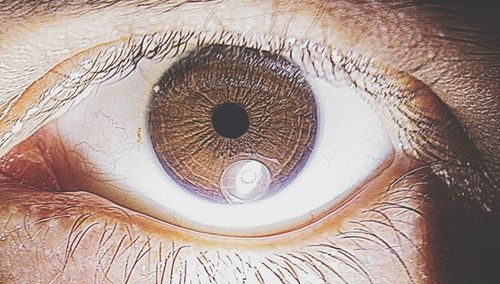 Close-up of object on wall