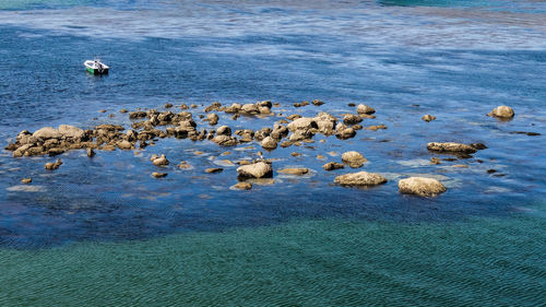 Flock of rocks on beach