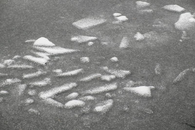 High angle view of starfish on sand