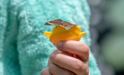 A young girl holds a plastic feeding ring with a resting butterfly perched on the tip